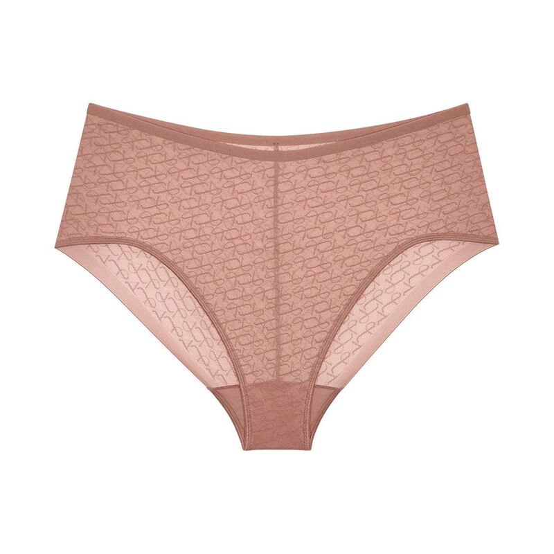 Triumph Signature Sheer Maxi Brief image number 6